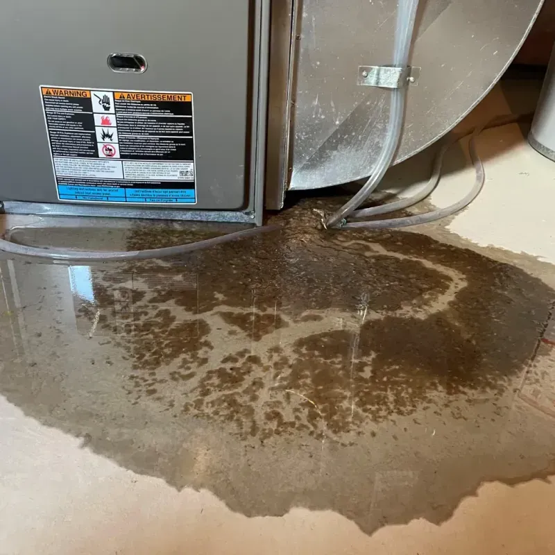 Appliance Leak Cleanup in Nelson County, KY